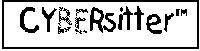 Cybersitter Logo