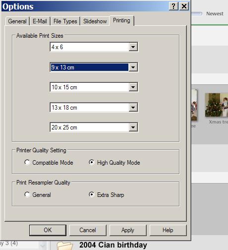 Print options screen clip